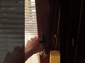 Dobro jutro narode