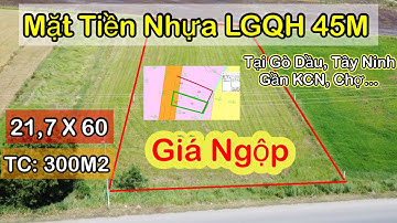 Mặt Tiền Nhựa QHLG 45M, 21,7X60 TC 300m2, Bến Đình, Gò Dầu, Tây Ninh.