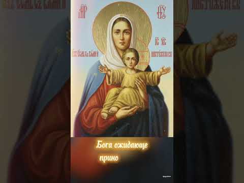 Леушинская икона Божией Матери #видеооткрытки #Шарабоня