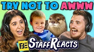 TRY NOT TO AWWW CHALLENGE #2 (ft. FBE Staff)
