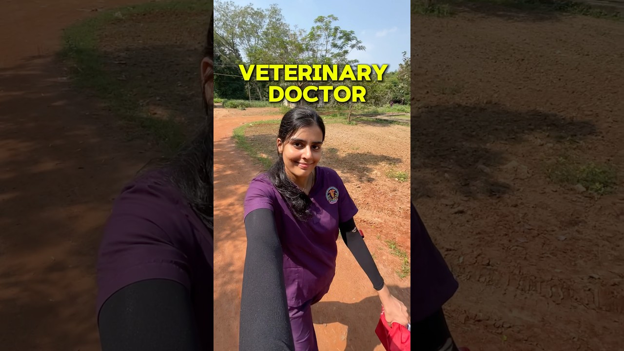 What exams to give after 12th for doing Veterinary? *Q&A series* PART 2 #vet #veterinary #neet #bvsc