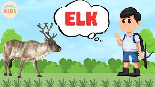 Elk Facts For Kids 😄 Learn All About Elks | MON Kids