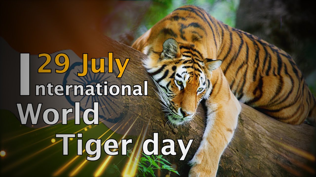 International Tiger Day 29 July Global Tiger Day YouTube