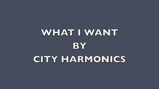 Watch City Harmonic What I Want video
