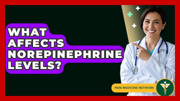 What Affects Norepinephrine Levels? - Pain Medicine Network