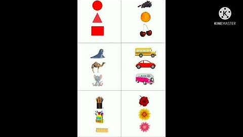 Class 1 - Mathematics - Topic: Spatial understanding part 1 - Video 3