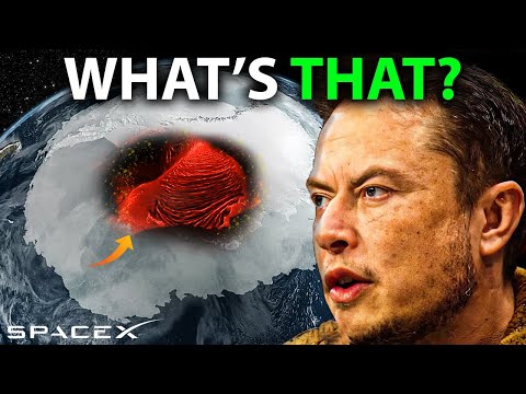 BREAKING NEWS! Elon