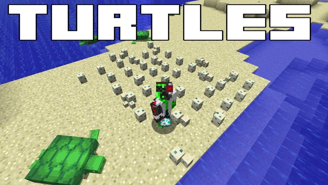 Minecraft Turtles - Everything you need to know! Breeding & Potion