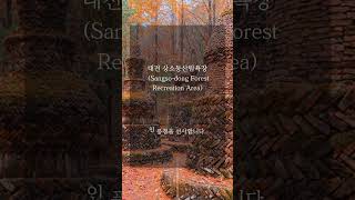국내 이국적인 분위기의 관광 명소 5곳 7월 여행 추천 #국내여행추천