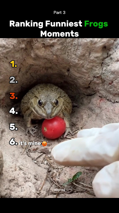 Ranking Best Frogs🐸 part 3