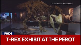 TRex comes to life in interactive Perot Museum exhibit