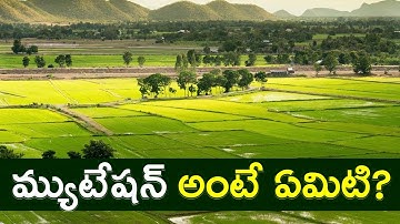 ల్యాండ్ మ్యుటేషన్ అంటే ఏమిటి? | What is Land Mutation? || Tech Patashala