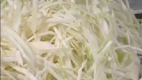 Hobart FP250 5/32" Slicer Plate Slicing Cabbage