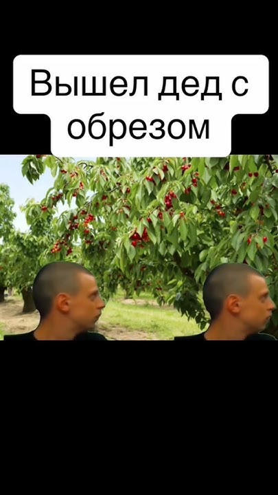 мелстрой мем тик ток - YouTube