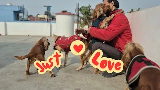 Watch How My Dogs Express Their Love
