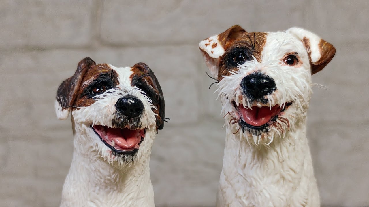 Miniatura Jack Russel Terrier - Athos e Dante 
