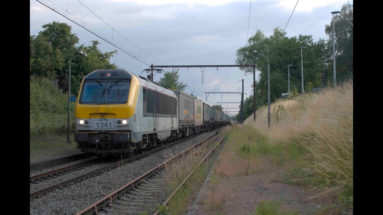 La HLE 1341 en tête d’un Ambrogio pour Muizen en 2021.
