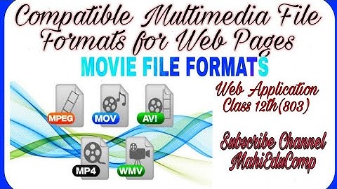 Movie File Formats in Multimedia | Compatible File Formats for Web Pages | Class 12th WebApplication