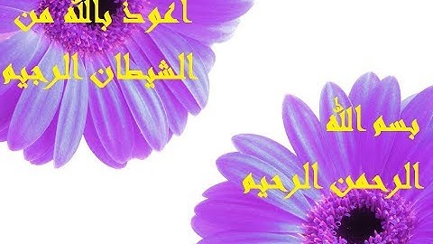 سورة الكافرون - بصوت الشيخ عبد الرحمن السديس