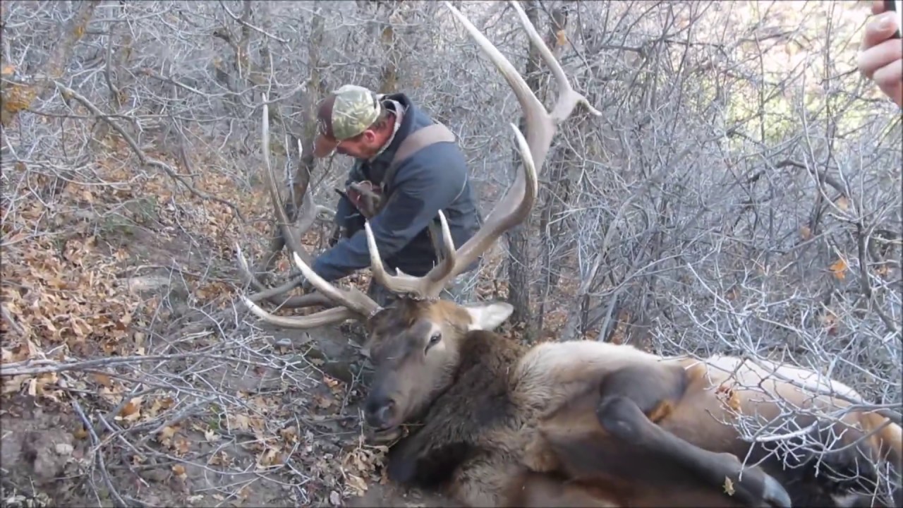 San Juan Late Elk Hunt 2016 YouTube san-juan-late-elk-hunt-2016-youtube