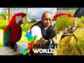 Visite du parc animalier immersif parrot world  nourrisage des manchots incroyable