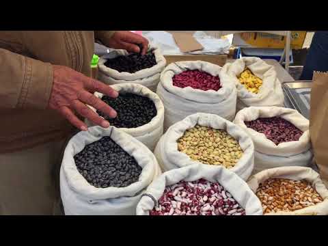 Video: Variedades y tipos de frijoles. Foto y descripción