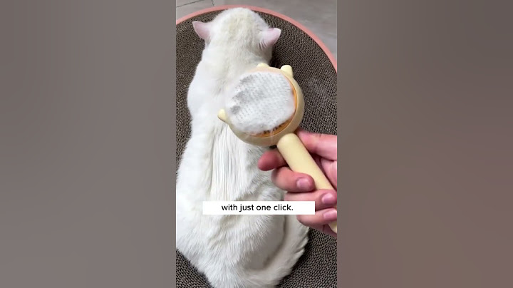 Brushing My Cat Is SO Satisfying 😫😻