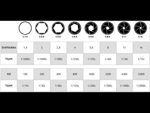 Video: Differenza Tra ISO E Velocità Dell'otturatore