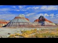 The Ancients Of The Petrified Forest - Arizona