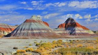 The Ancients Of The Petrified Forest  Arizona