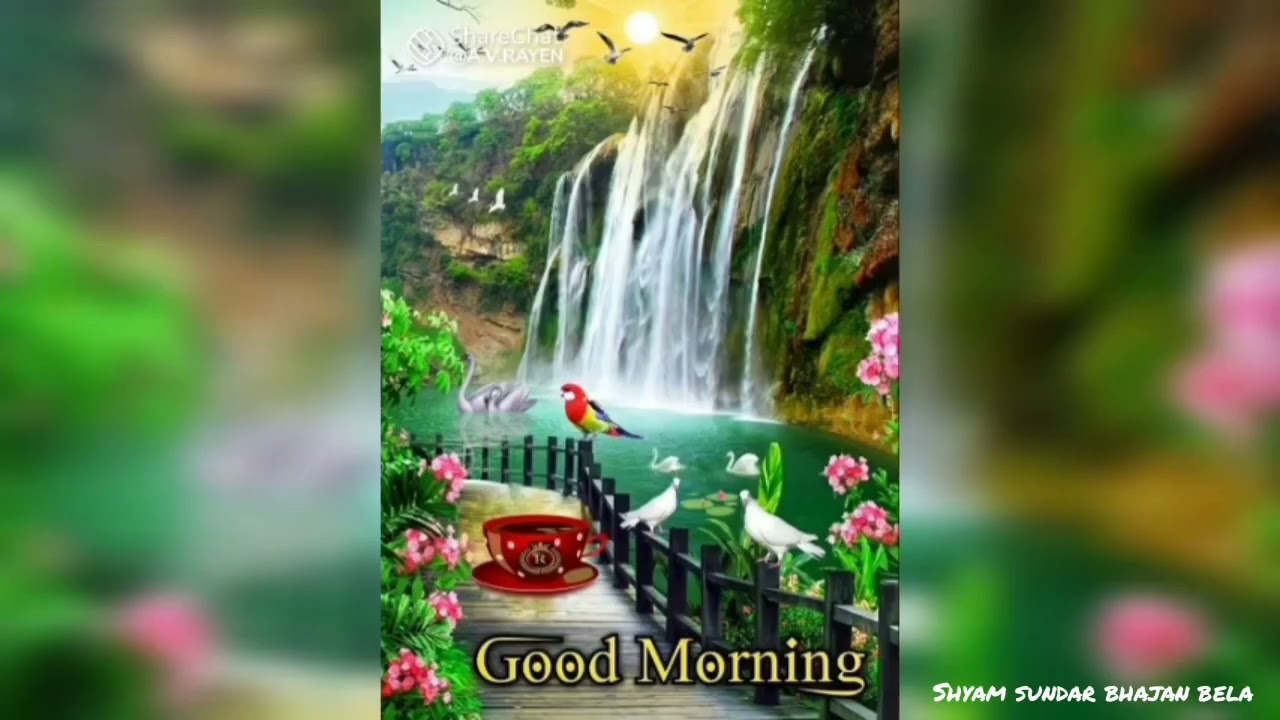 Good Morning Whatsapp Status #Morning | Good Morning Status Video | Happy  Morning Wishes | Song | - YouTube