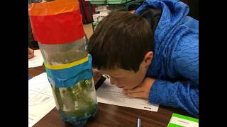 Ecocolumn
