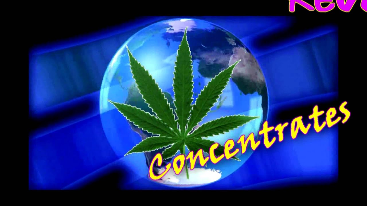 DANKline With Soundrone