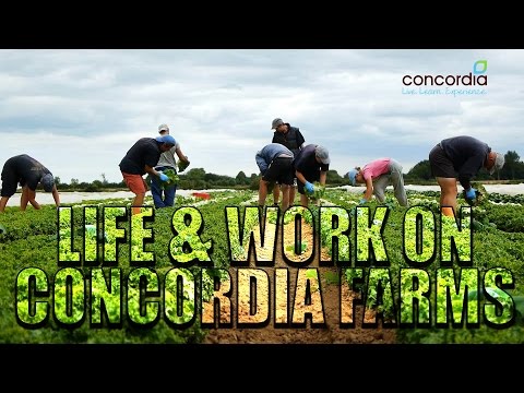 Life & Work on Concordia Farms