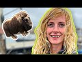 TRASH TALKING A MUSK OX | Behind the Dredge with Emily Riedel | Part 8