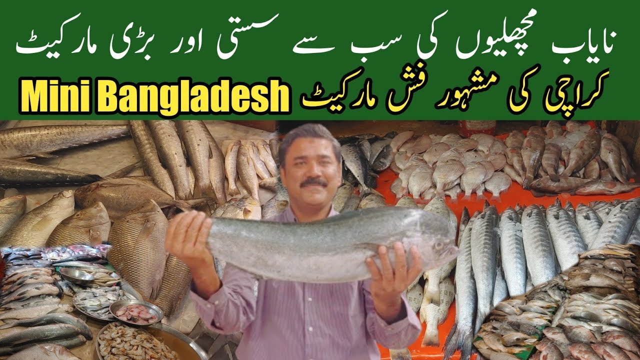 Cheapest Fresh Fish & Prawns Market In Karachi | Mini Bangladesh 
