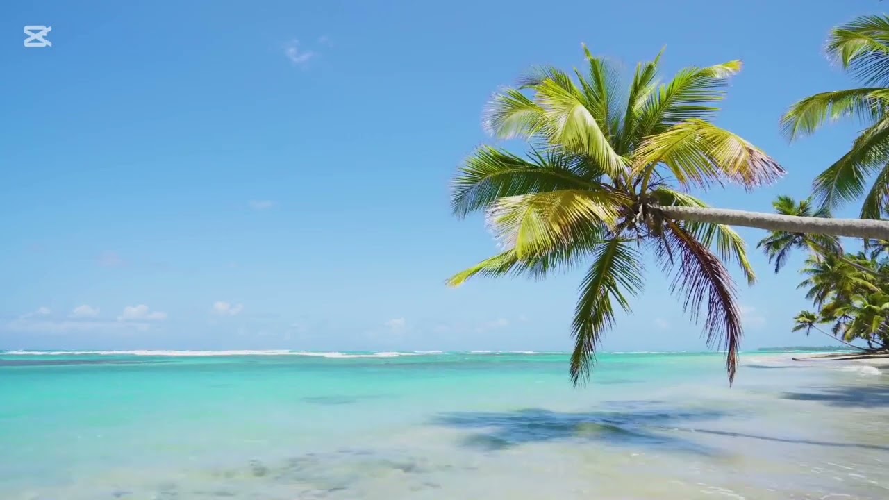 See a bech Are you sure?