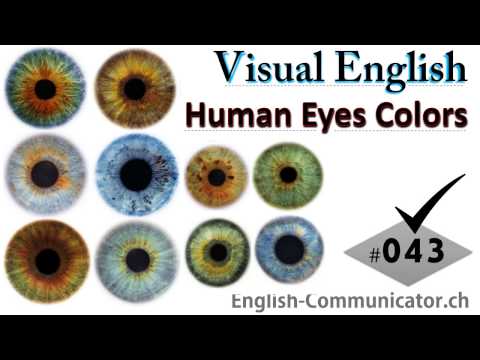 #043 Visual English Language Learning Practical Vocabulary Human Eyes Colours Part 1