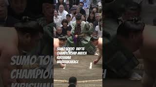 SUMO KIRISHIMA-WAKATAKAKAGE＜TOKYO DAY15＞ #shorts