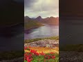 Deep Sleep with Harp Music