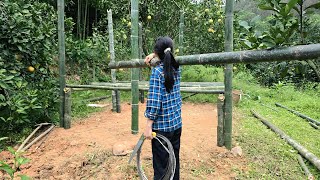 Download Lagu Alone in the wild forest, Tieu Nu began the process of building a bamboo house. MP3 Download Lagu Alone in the wild forest, Tieu Nu began the process of building a bamboo house. MP3