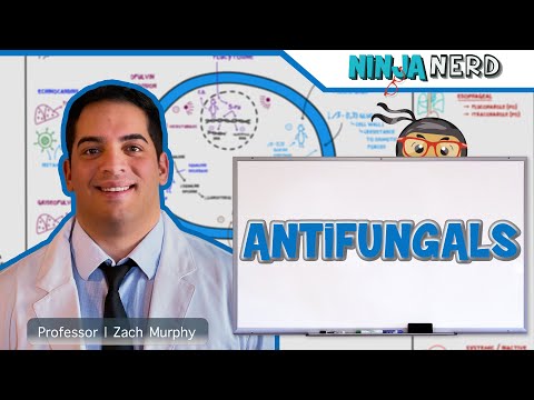 Video: Agent antifungic pentru pereti: recenzie, compozitie, alegere