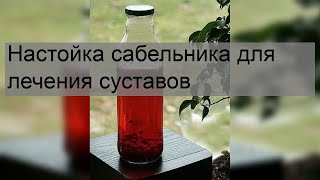 Настойка сабельника для лечения суставов