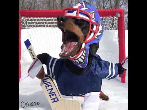 The Goalie книга