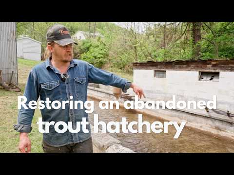 Restoring an Abandoned 1970's Hatchery | Day Two