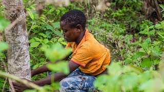 Open defecation in Okokroko