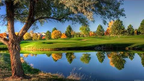 Saad Al-Ghamidi Sourat Al Anaam  سعد الغامدي سورة الأنعام