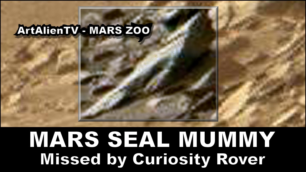 rovera LIFE ON PLANET MARS - SEAL MUMMY / CORPSE ? ArtAlienTV - 1080p