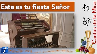 Video thumbnail of "ESTA ES TU FIESTA SEÑOR -  CANTOS SANTA MISA"