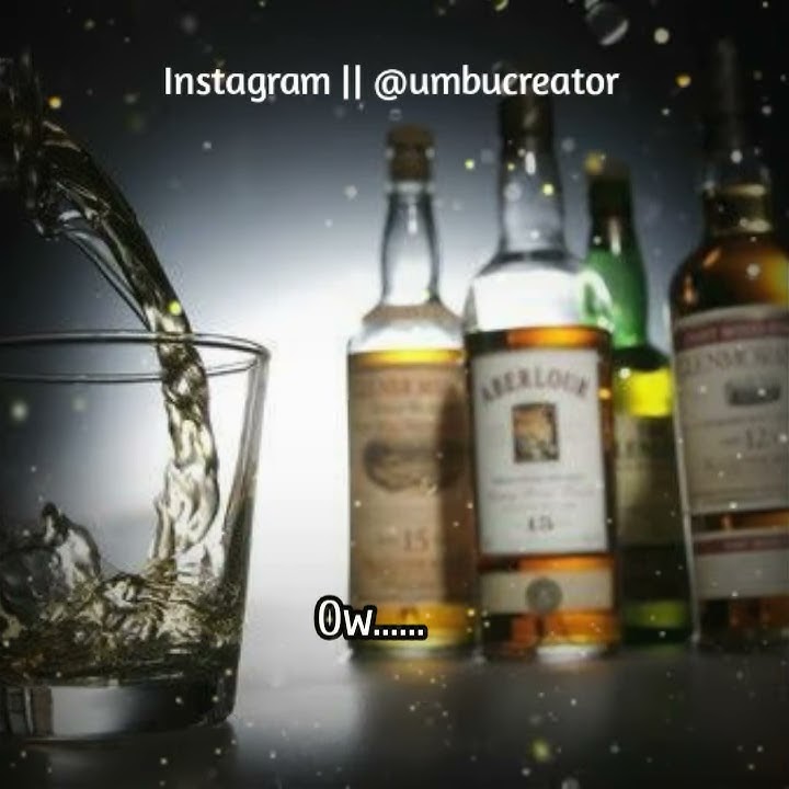 STORY WA || SAYA MABOK || KAMU MABOK || KITA MABOK